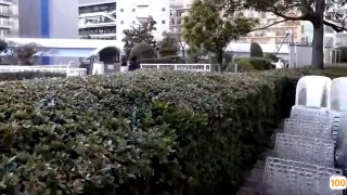 欧美一区二区系列,成人视频高清免费观看